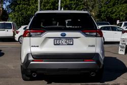 2019 Toyota RAV4 Cruiser