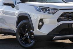 2019 Toyota RAV4 Cruiser