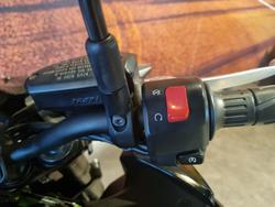 2019 Kawasaki Z900 (ZR900B) Z Black