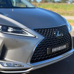 2021 Lexus RX 300 Luxury