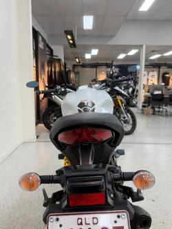 2020 DUCATI MONSTER 659 (WHITE) White