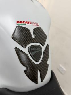2020 DUCATI MONSTER 659 (WHITE) White