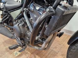 2024 Honda CMX 500 GREEN