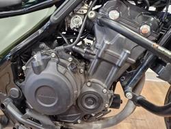2024 Honda CMX 500 GREEN