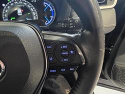 2019 Toyota RAV4 Cruiser