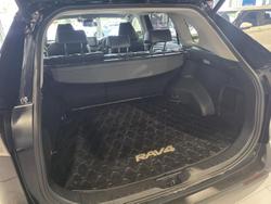 2019 Toyota RAV4 Cruiser