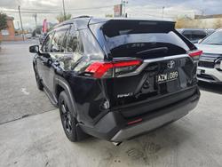 2019 Toyota RAV4 Cruiser