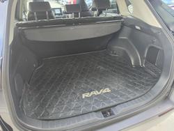 2019 Toyota RAV4 Cruiser