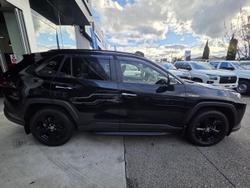 2019 Toyota RAV4 Cruiser