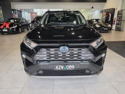 2019 Toyota RAV4 Cruiser