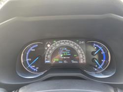 2019 Toyota RAV4 Cruiser