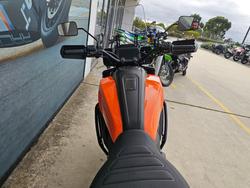 2021 HARLEY-DAVIDSON RA1250S PAN AMERICA SPECIAL Orange