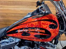 2010 HARLEY-DAVIDSON FLSTF FAT BOY
