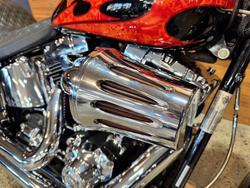2010 HARLEY-DAVIDSON FLSTF FAT BOY