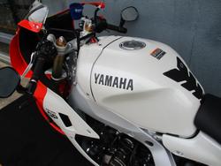 2024 Yamaha XSR900GP (MTM890ASP) RED/WHITE