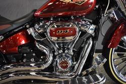 2023 HARLEY-DAVIDSON FLFBSANV FAT BOY S (114) ANNI