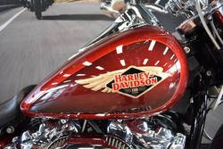 2023 HARLEY-DAVIDSON FLFBSANV FAT BOY S (114) ANNI