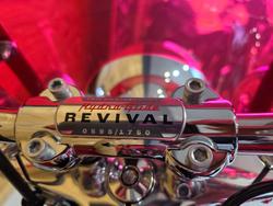 2024 HARLEY-DAVIDSON FLI HYDRA GLIDE REVIVAL (114)