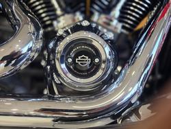 2024 HARLEY-DAVIDSON FLI HYDRA GLIDE REVIVAL (114)