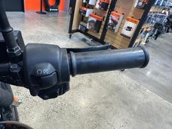 2020 Harley-Davidson Street 500 (XG500) Street Black