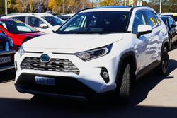 2020 Toyota RAV4 Cruiser