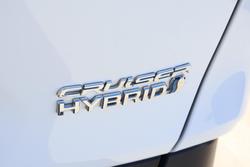 2020 Toyota RAV4 Cruiser