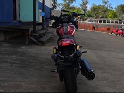 2025 Indian 2025 Indian 1250CC Scout 101 Red