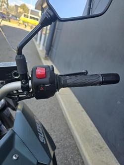 2024 Suzuki V-Strom 800 V-Strom Green