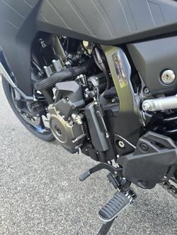 2024 Suzuki V-Strom 800 V-Strom Green