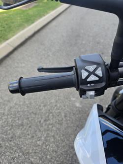 2024 KTM 790 Duke Duke Grey