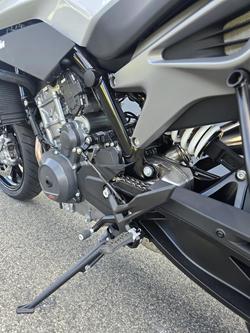 2024 KTM 790 Duke Duke Grey
