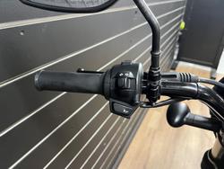 2020 HARLEY-DAVIDSON XG500 STREET 500 Black