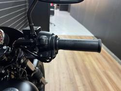 2020 HARLEY-DAVIDSON XG500 STREET 500 Black