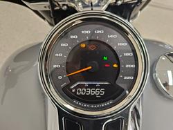 2024 Harley-davidson FLSB SPORT GLIDE (107) grey