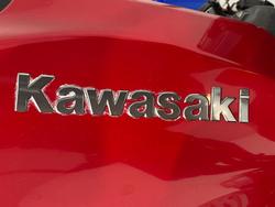 2018 Kawasaki Z900 (ZR900B) Z Red