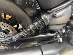 2025 Indian SCOUT SPORT ?