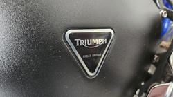 2013 Triumph Speedmaster 865 Speedmaster Blue