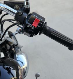 2004 Yamaha Virago 250 (XV250)
