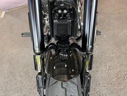 2022 HARLEY-DAVIDSON FLSB SPORT GLIDE (107)