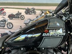 2022 HARLEY-DAVIDSON FLSB SPORT GLIDE (107)