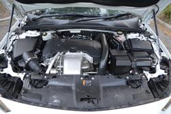 2019 Holden Commodore LT ZB MY19 Abalone White