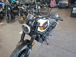 2024 HARLEY-DAVIDSON HD500-10A H-DX X500