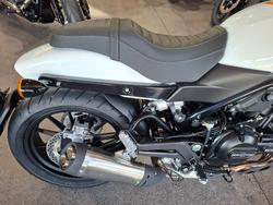 2024 HARLEY-DAVIDSON HD500-10A H-DX X500