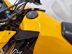 2020 Kawasaki KLR650 (KL650) YELLOW