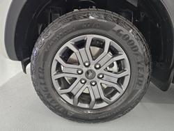 2025 Ford Ranger Wildtrak