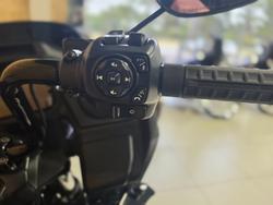 2025 HARLEY-DAVIDSON FLTRX ROAD GLIDE (117)