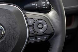 2024 Toyota RAV4 Cruiser