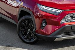 2024 Toyota RAV4 Cruiser