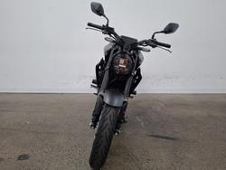 2024 Honda CB300R ABS (CBF300NA) Black