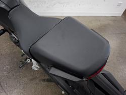 2024 Honda CB300R ABS (CBF300NA) Black